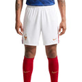 Frankreich Heimshorts 2026/27