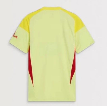 Arsenal Goalkeeper 2025/26 Kit - Kids