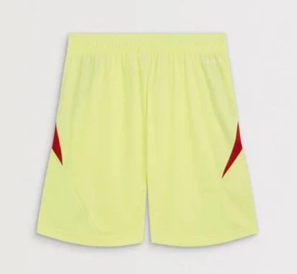 Arsenal Goalkeeper 2025/26 Kit - Kids