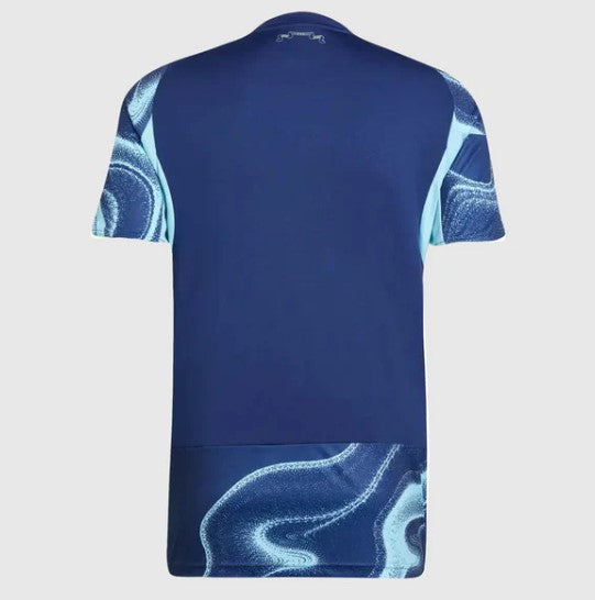 Ajax Away Shirt 2025/26