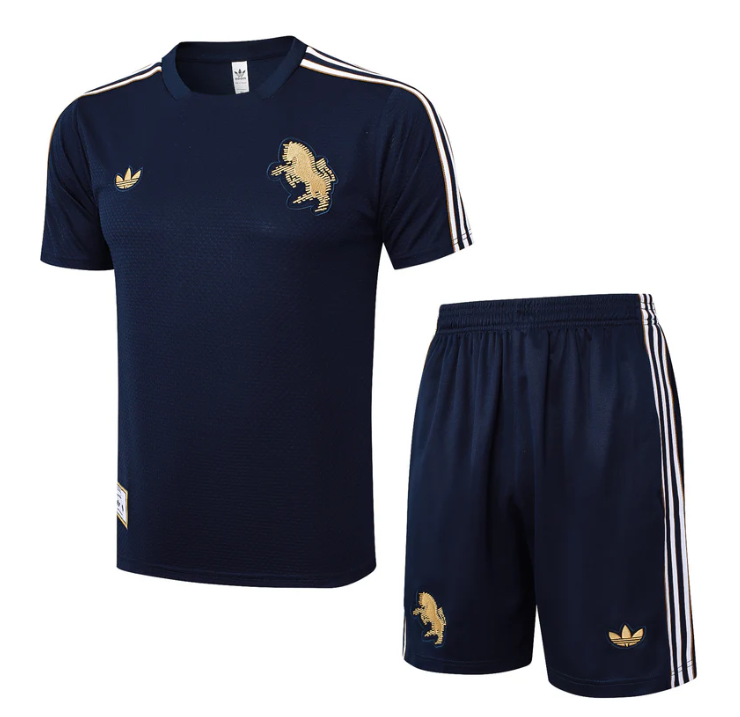 Conjunto de Treino Juventus 2025/26 - Infantil