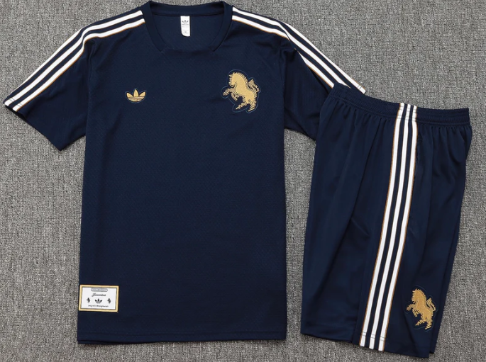 Conjunto de Treino Juventus 2025/26 - Infantil