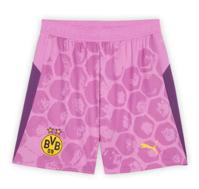 Borussia Dortmund Goalkeeper Shorts 2025/26
