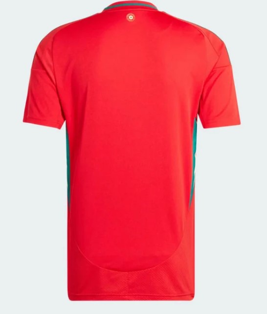 Wales Home Shirt 2024/25