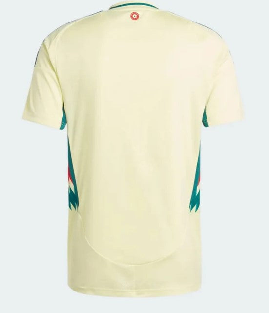 Wales Away Shirt 2024/25