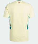 Wales Away Shirt 2024/25